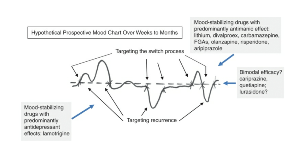 양극성 장애 치료 flow chart